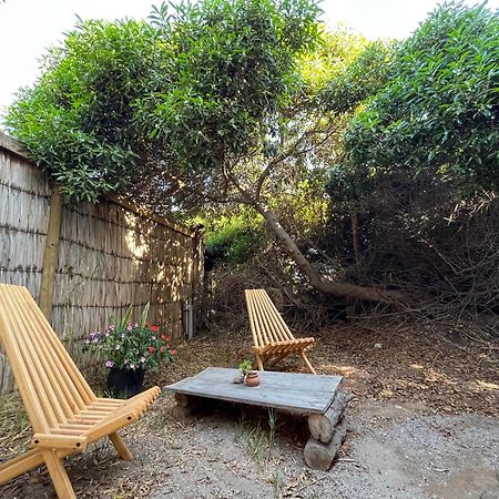 El Arbol Eco Lodge ลาเซเรนา ภายนอก รูปภาพ