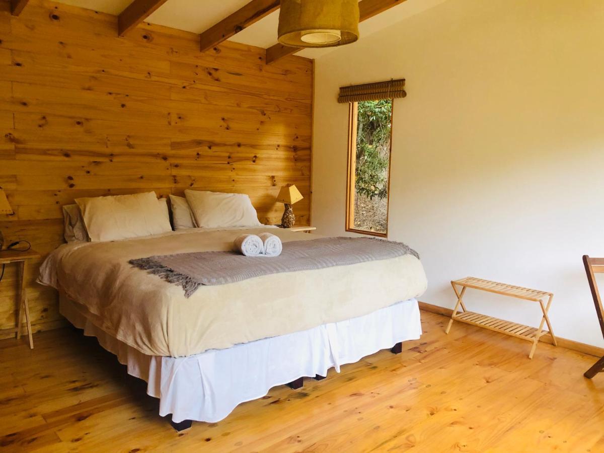 El Arbol Eco Lodge ลาเซเรนา ภายนอก รูปภาพ