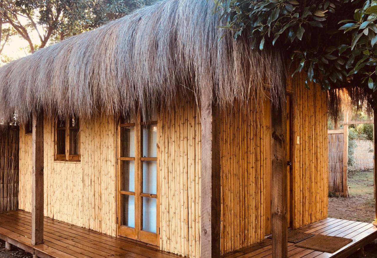 El Arbol Eco Lodge ลาเซเรนา ภายนอก รูปภาพ