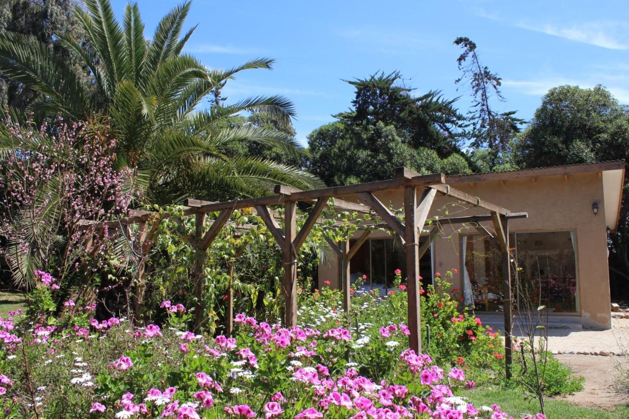 El Arbol Eco Lodge ลาเซเรนา ภายนอก รูปภาพ