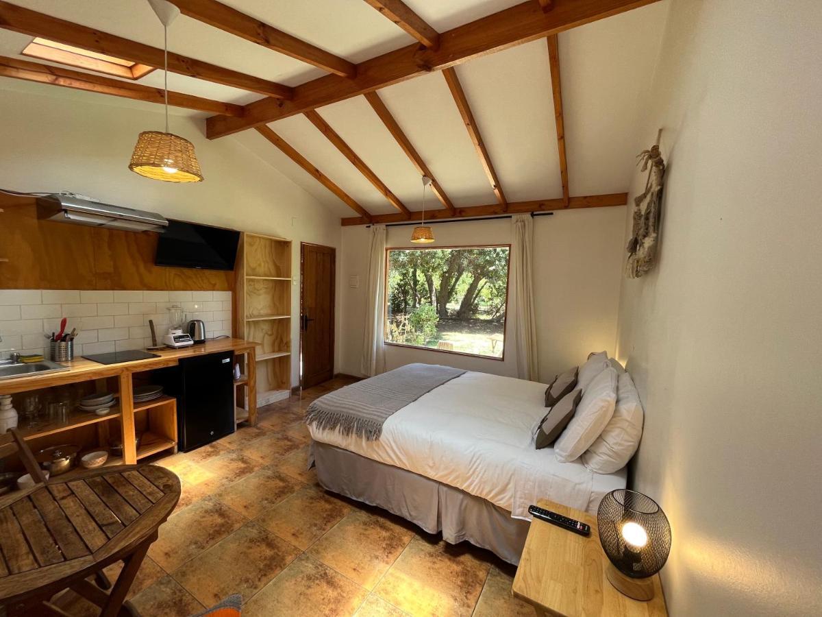 El Arbol Eco Lodge ลาเซเรนา ภายนอก รูปภาพ