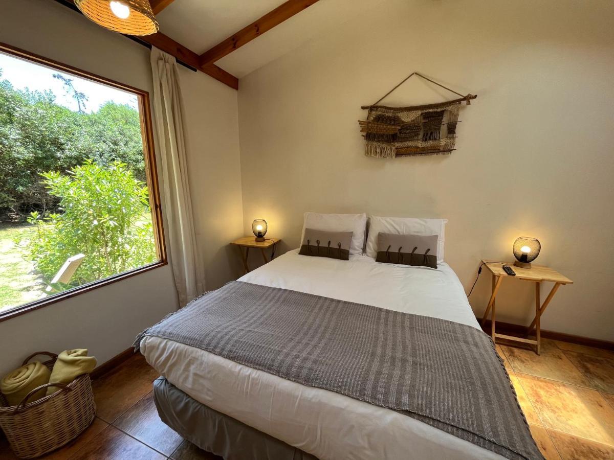 El Arbol Eco Lodge ลาเซเรนา ภายนอก รูปภาพ