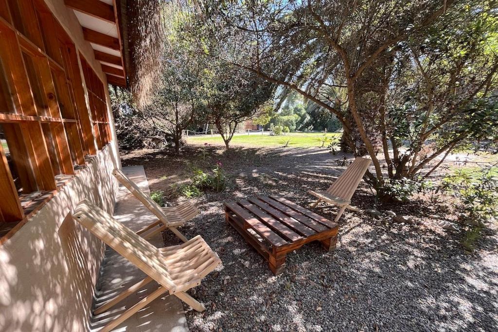 El Arbol Eco Lodge ลาเซเรนา ภายนอก รูปภาพ