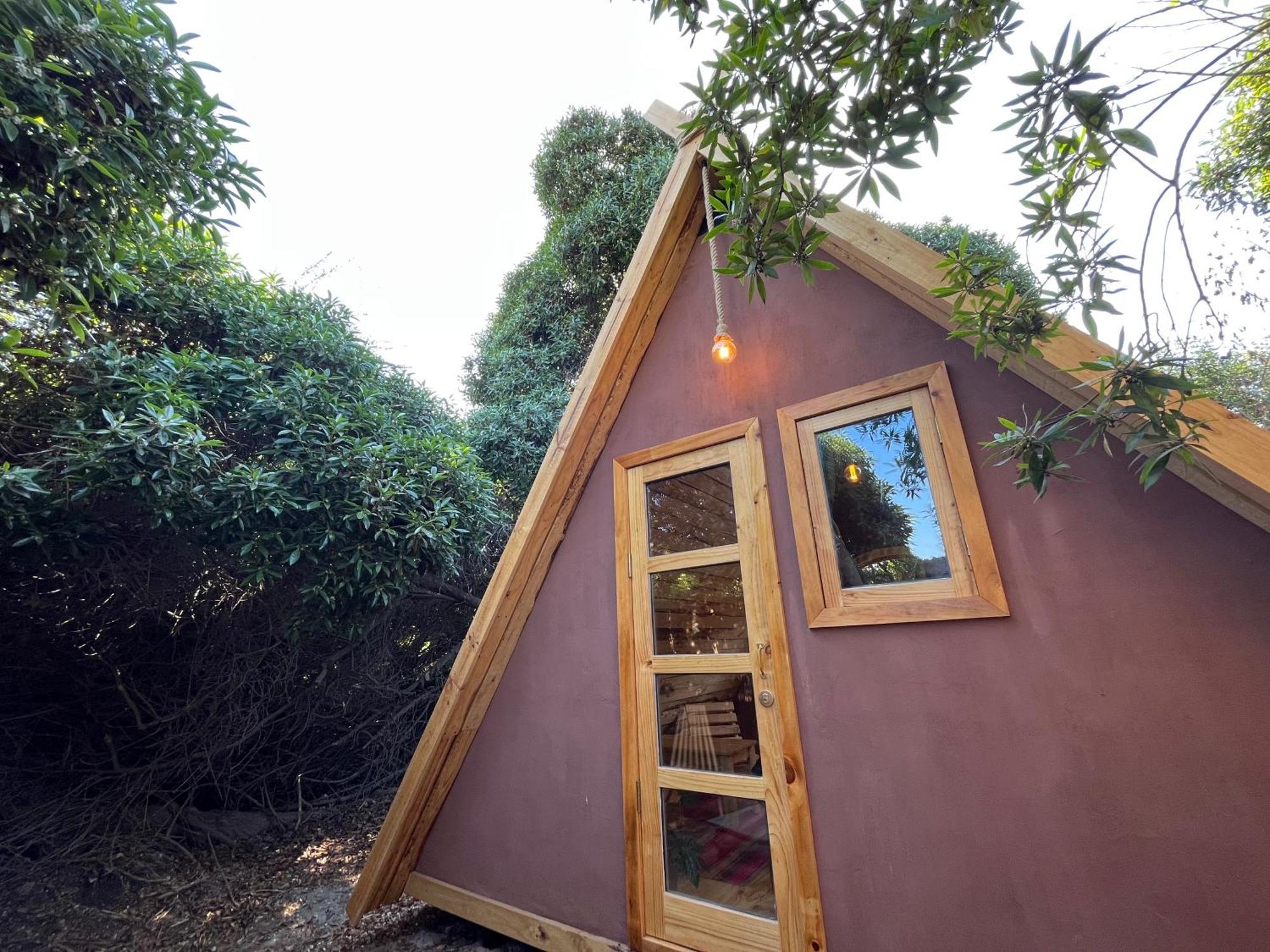 El Arbol Eco Lodge ลาเซเรนา ภายนอก รูปภาพ