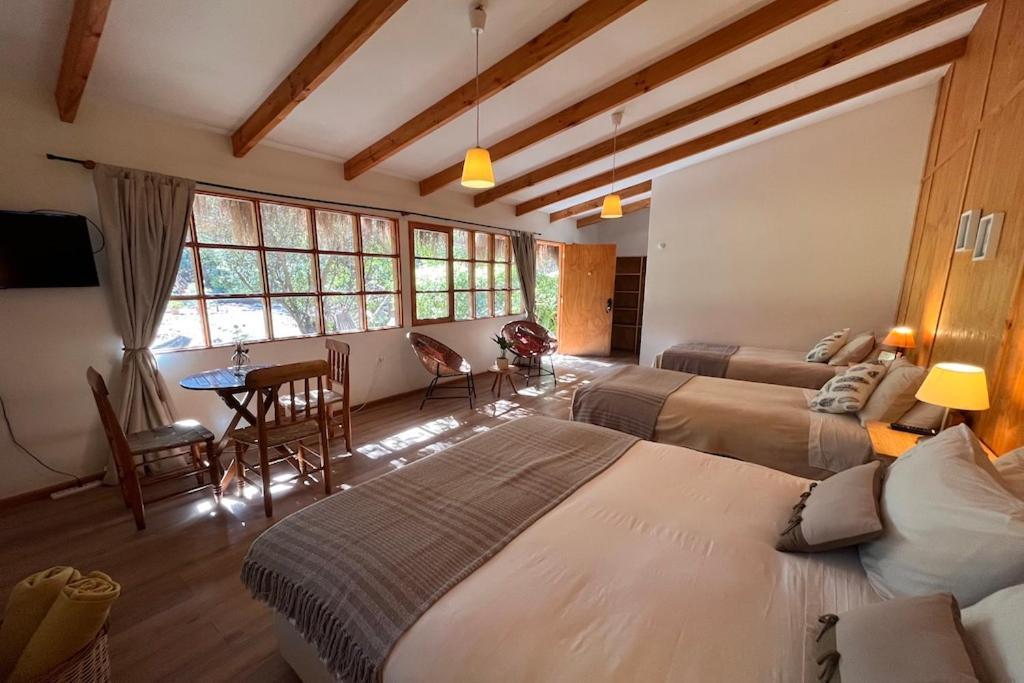 El Arbol Eco Lodge ลาเซเรนา ภายนอก รูปภาพ