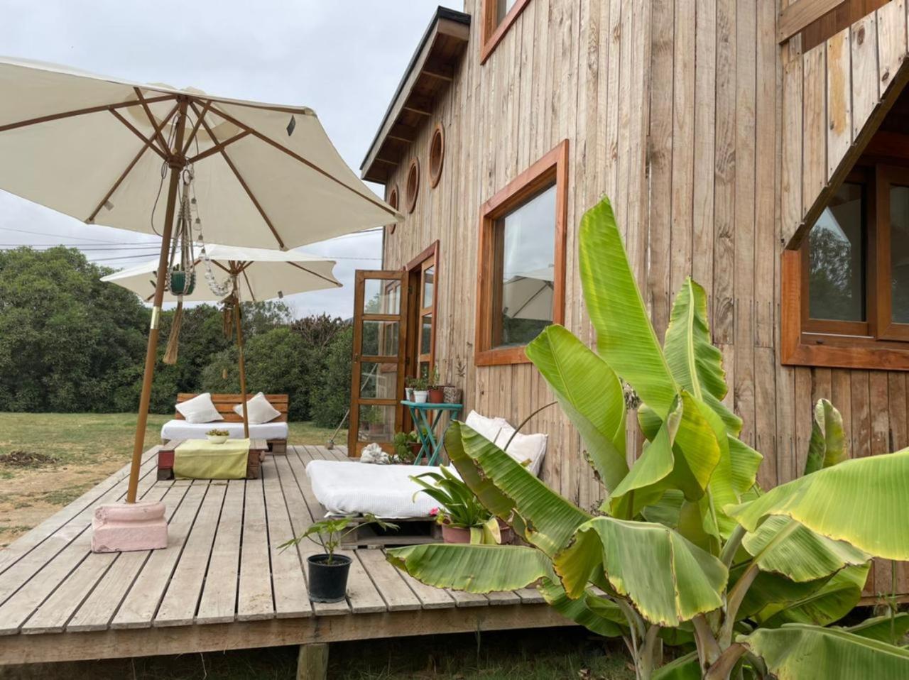 El Arbol Eco Lodge ลาเซเรนา ห้อง รูปภาพ