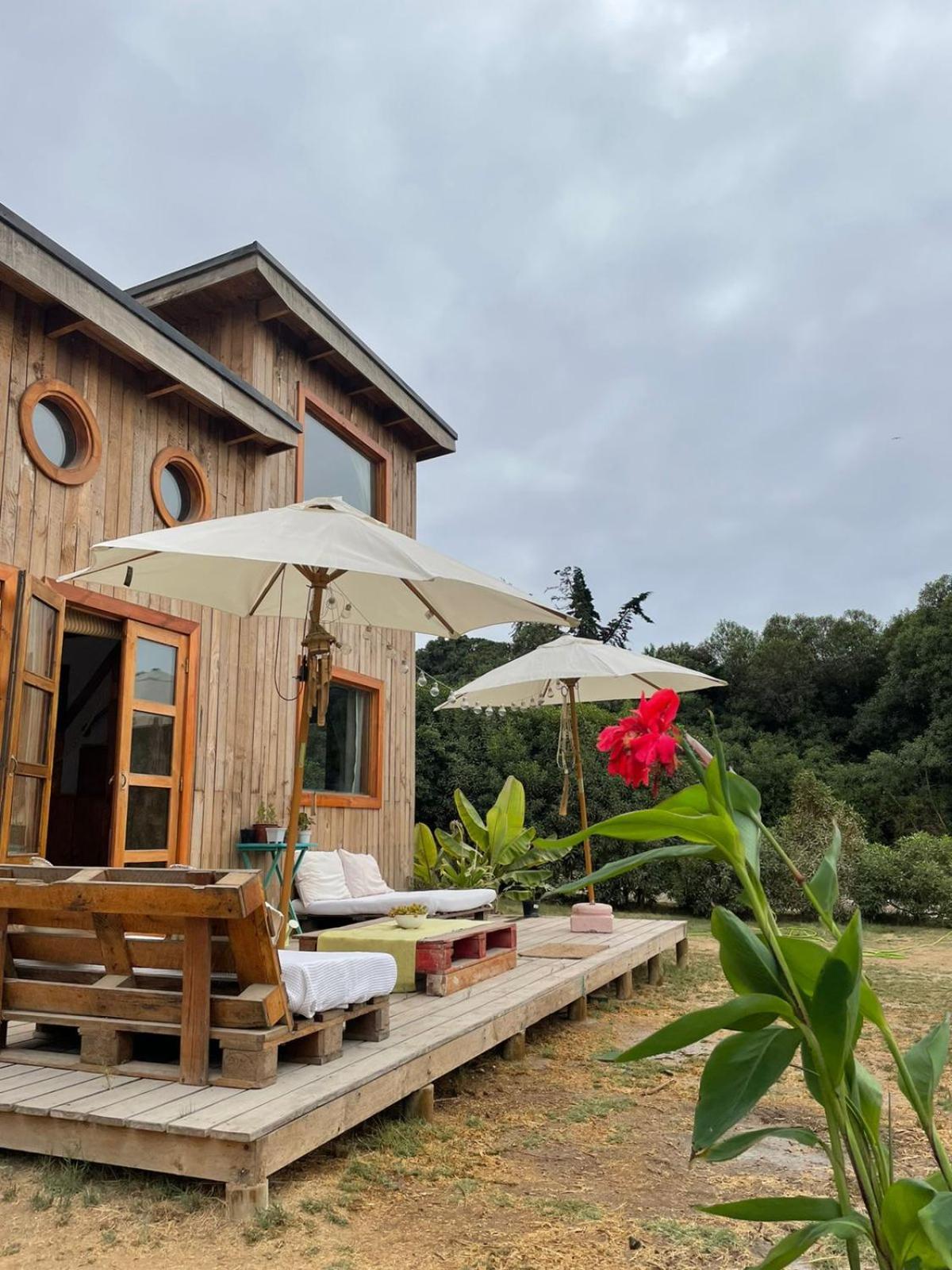 El Arbol Eco Lodge ลาเซเรนา ห้อง รูปภาพ